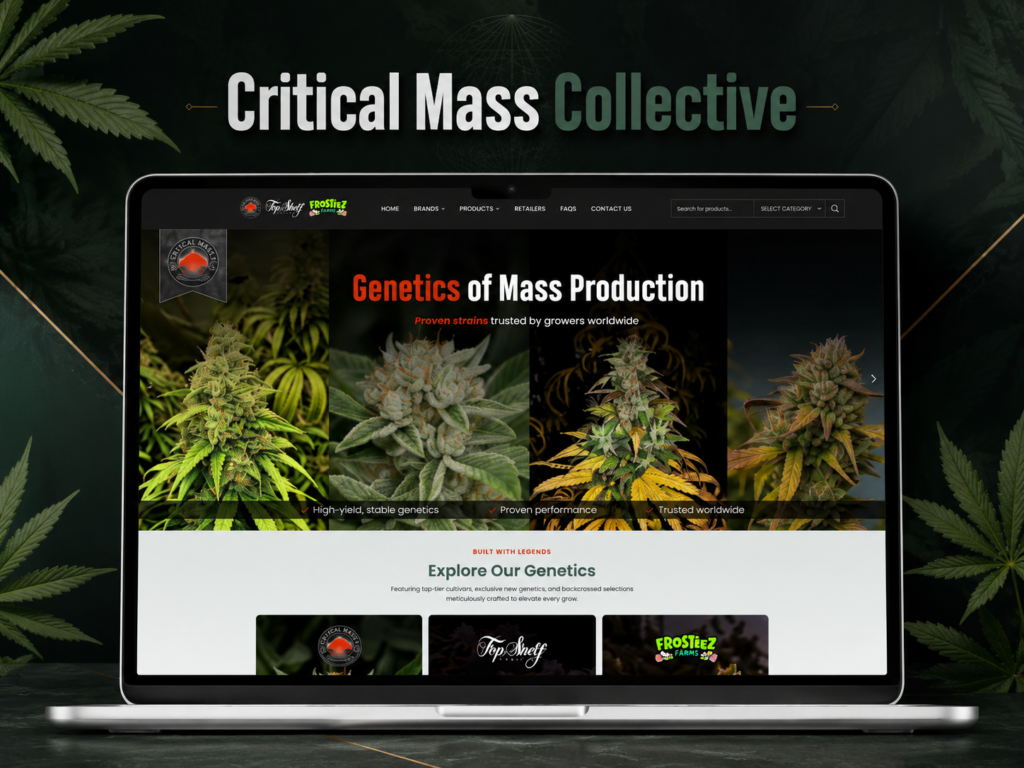 Critical Mass Collective